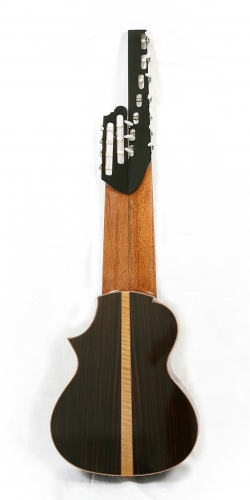 14-струнная гитара, нижняя дека, гриф из кедра, Rodolfo Cucculelli, liutaio.JPG