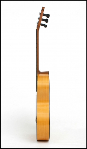Manico della chitarra flamenco, altezza (action) delle corde alla tastiera 2,6 mm. à 2,8 mm..jpg