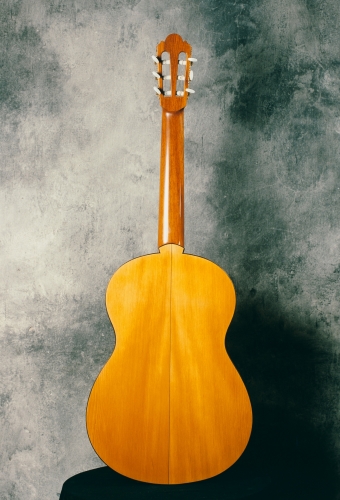 Klassikaline kitarr, kitarri põhi_Podocarpus nubigenus. Sõrmlaud_Cedrela odorata.JPG