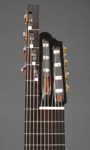 11-keeleline kitarr, pea (brasiilia dalbergia), ülemine lust sadul.jpg