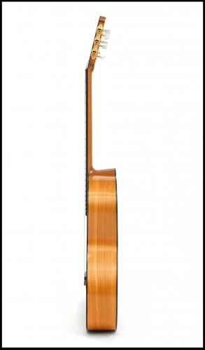 Le manche de la guitare, l'épaisseur du manche (17 mm à 18 mm), action de les cordes sur la touche_ 2,3 à 2,8 mm..jpg