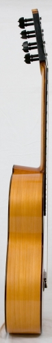 意大利柏木侧板。印度玫瑰木镶边。层压琴颈并有两根琴筋用以支撑琴颈拉力。.jpg