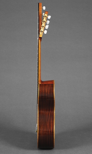 Violão de 11 cordas, faixas em Jacarandá da Índia, profundidade de corpo do violão 97 mm. a 102 mm.jpg