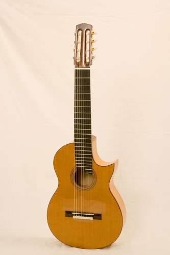 8-snarige gitaar met Florentijnse cutaway, mensuurlengte 650 mm., Rodolfo Cucculelli, gitaarbouwer.JPG
