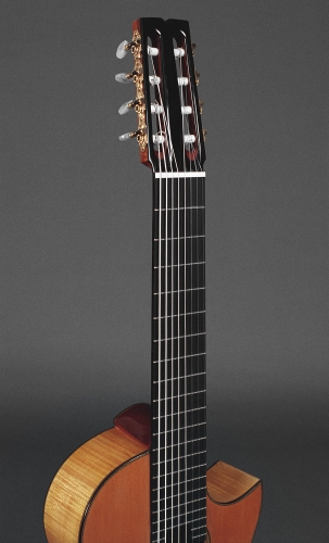 Custom gitarą . Grifas. Rodolfo Cucculelli, luthier.jpg