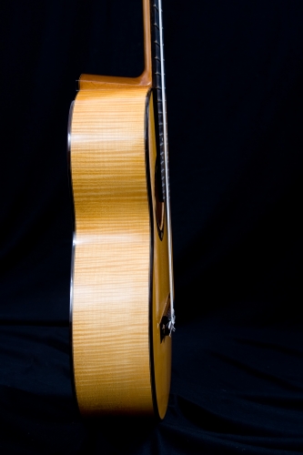 Guitarra multicuerdas, altura de aros 102 mm. á 109 mm. Acción de las cuerdas sobre la tapa, puente de Wengué (Millettia laurentii).jpg