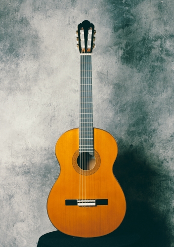 Guitare classique, diapason 650 mm. Thuja plicata_Podocarpus nubigenus. Gabarit de la guitare Ignacio Fleta.JPG
