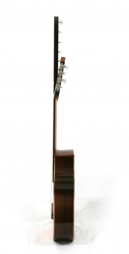 Vierzehnsaitige customgitarre, Zargen in Palisanderholz.JPG