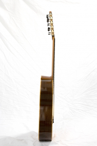 Chitarra pluricorde, chitarra decacorde, spessore del manico 18 mm. - 19 mm, fasce di Palissandro Indiano.JPG