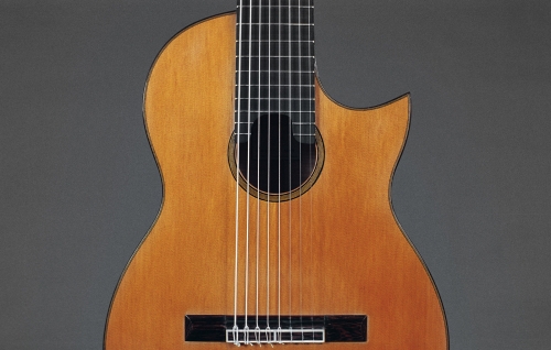 Gitara 8-strunowa, płyta wierzchnia (Żywotnik olbrzymi), podstrunnica (Heban), rozeta, mostek, cutaway.jpg