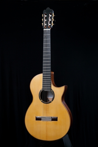 Guitarra Electroacustica,escala 650 mm. Abete Rosso y Palosanto India.
